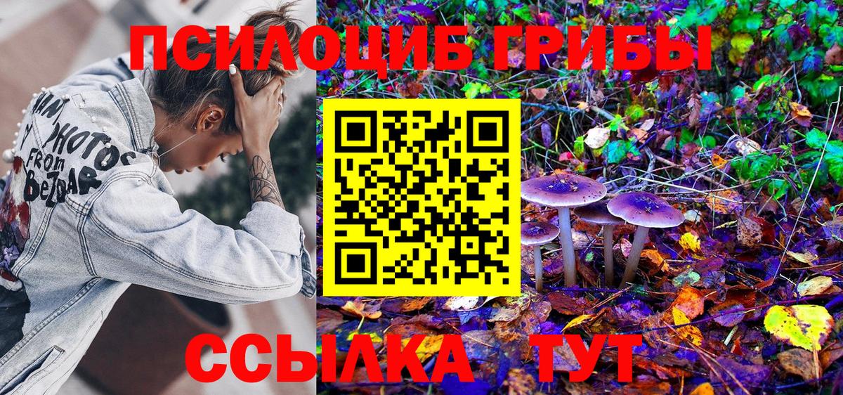 сколько стоит  Вход с VPN  Ярцево  Псилоцибиновые грибы Magic Shrooms 