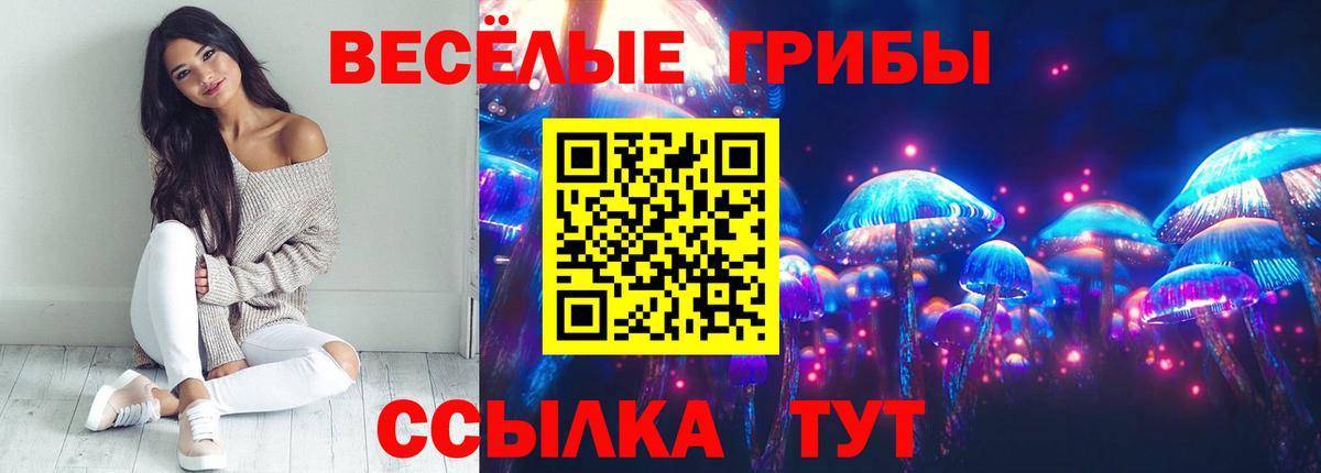 Галлюциногенные грибы Psilocybe Ярцево